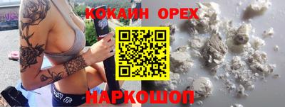 кокс Аша