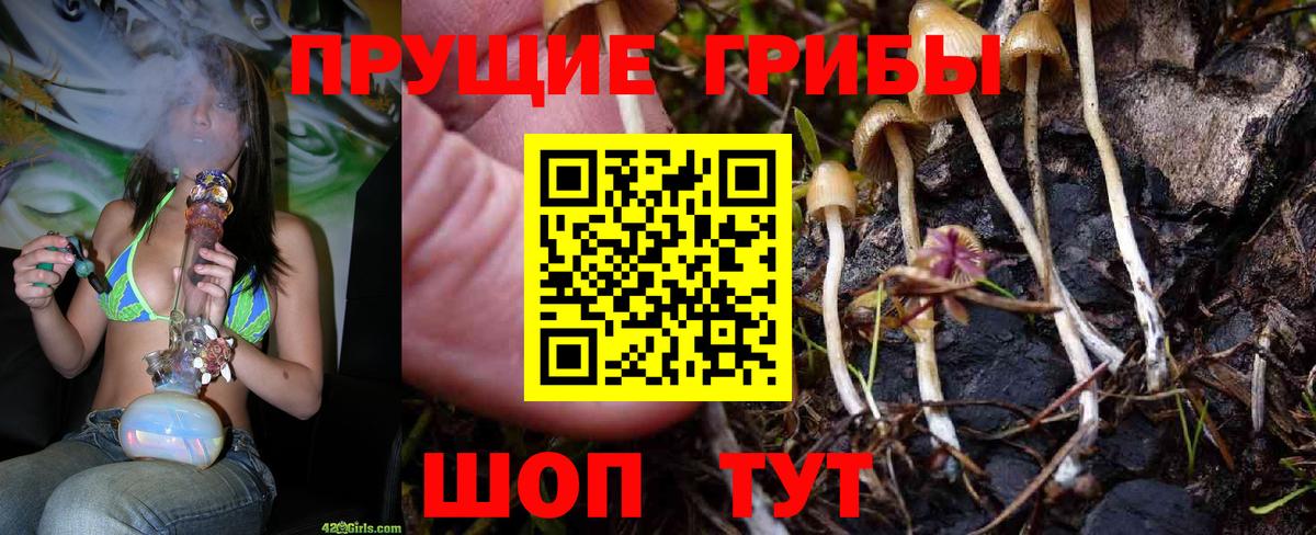 Псилоцибиновые грибы мицелий  Вход с VPN  Псилоцибиновые грибы мицелий  Амурск 